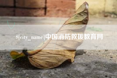 馆陶中国消防救援教育网