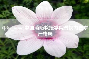 馆陶中国消防救援学院对视力要求严格吗
