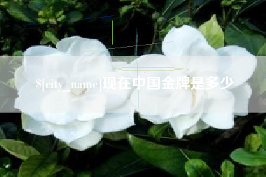 馆陶现在中国金牌是多少