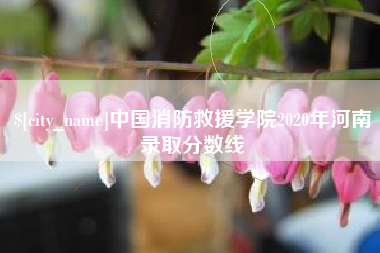 馆陶中国消防救援学院2020年河南录取分数线