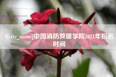 馆陶中国消防救援学院2021年报名时间