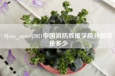 馆陶2021中国消防救援学院分数线是多少
