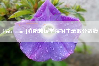 馆陶消防救援学院招生录取分数线
