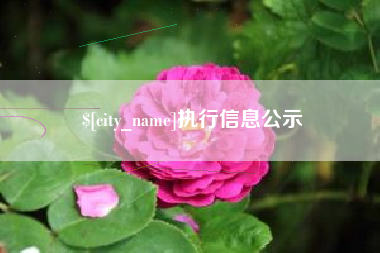 馆陶执行信息公示