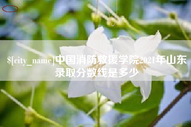 馆陶中国消防救援学院2021年山东录取分数线是多少