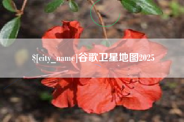 馆陶谷歌卫星地图2025