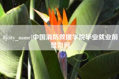 馆陶中国消防救援学院毕业就业前景如何