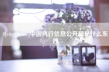 馆陶中国执行信息公开网是什么东西