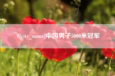 馆陶中国男子5000米冠军
