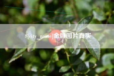 馆陶金牌图片真实