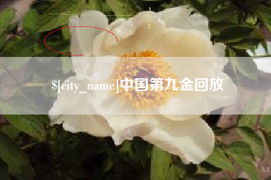馆陶中国第九金回放