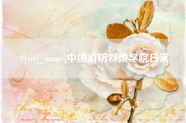 馆陶中国消防救援学院日常