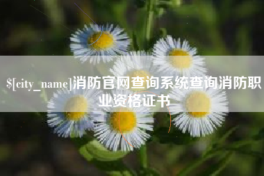 馆陶消防官网查询系统查询消防职业资格证书