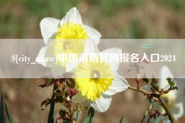 馆陶中国消防官网报名入口2024