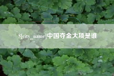 馆陶中国夺金大项是谁