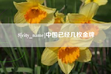 馆陶中国已经几枚金牌