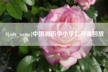 馆陶中国消防中小学公开课回放