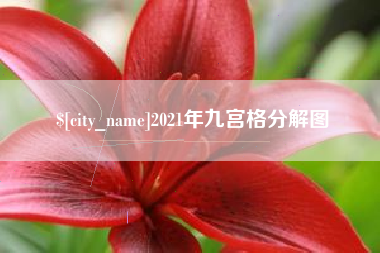 馆陶2021年九宫格分解图