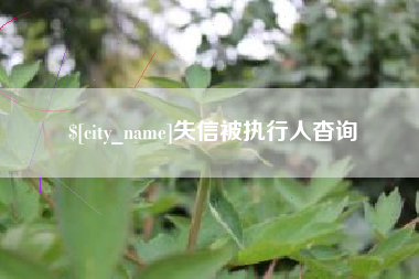 馆陶失信被执行人杳询
