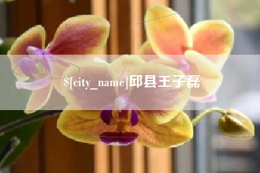 馆陶邱县王子磊