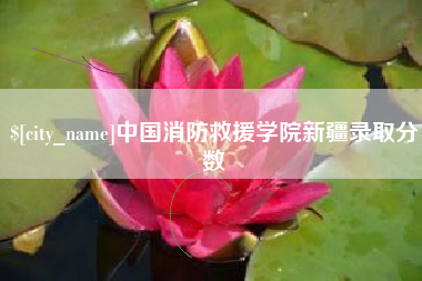 馆陶中国消防救援学院新疆录取分数