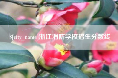 馆陶浙江消防学校招生分数线