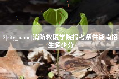 馆陶消防救援学院报考条件湖南招生多少分