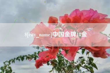 馆陶中国金牌18金