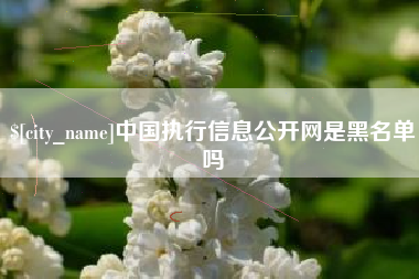 馆陶中国执行信息公开网是黑名单吗
