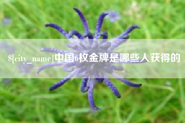 馆陶中国6枚金牌是哪些人获得的