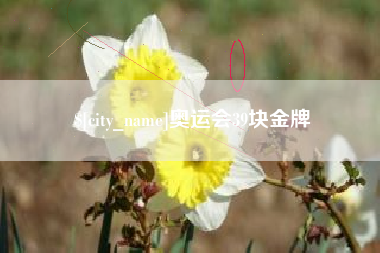 馆陶奥运会39块金牌