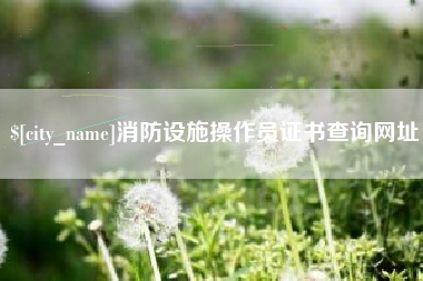 馆陶消防设施操作员证书查询网址