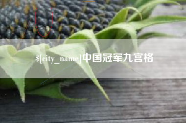 馆陶中国冠军九宫格