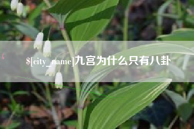 馆陶九宫为什么只有八卦