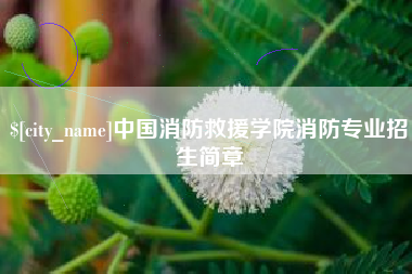 馆陶中国消防救援学院消防专业招生简章