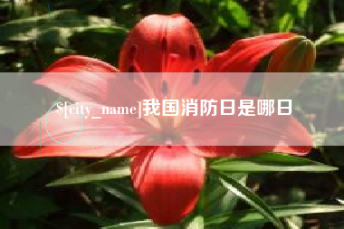 馆陶我国消防日是哪日