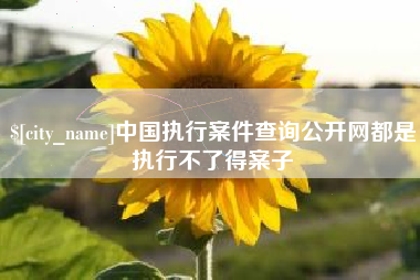 馆陶中国执行案件查询公开网都是执行不了得案子