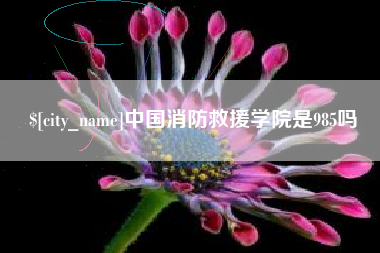 馆陶中国消防救援学院是985吗