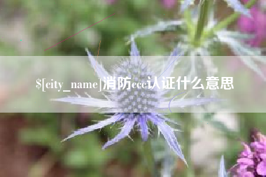 馆陶消防ccc认证什么意思