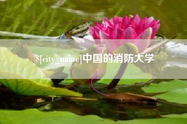 馆陶中国的消防大学
