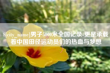 馆陶男子5000米全国记录-更是承载着中国田径运动员们的热血与梦想