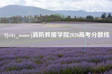 馆陶消防救援学院2020高考分数线