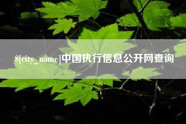 馆陶中国执行信息公开网查询