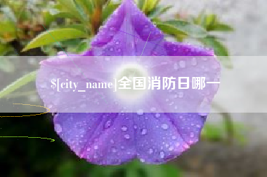 馆陶全国消防日哪一