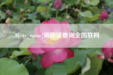 馆陶消防证查询全国联网