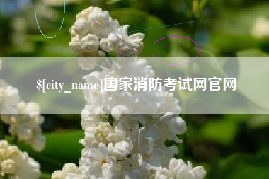 馆陶国家消防考试网官网