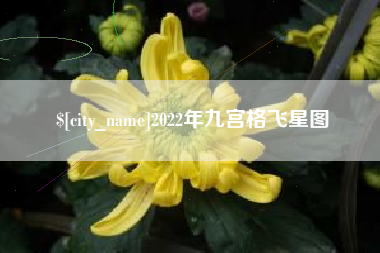 馆陶2022年九宫格飞星图