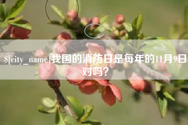 馆陶我国的消防日是每年的11月9日对吗？