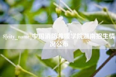 馆陶中国消防救援学院湖南招生情况公布