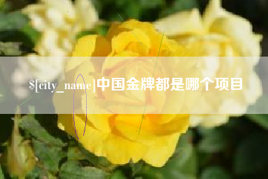 馆陶中国金牌都是哪个项目